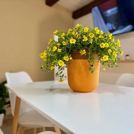 Cubbula - E Terrazze In Centro Storico 아파트 *