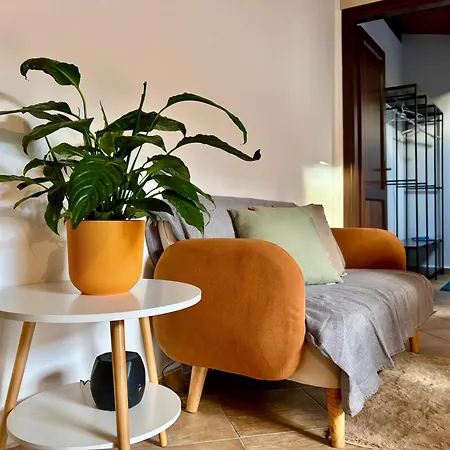 Cubbula - E Terrazze In Centro Storico 아파트 팔레르모