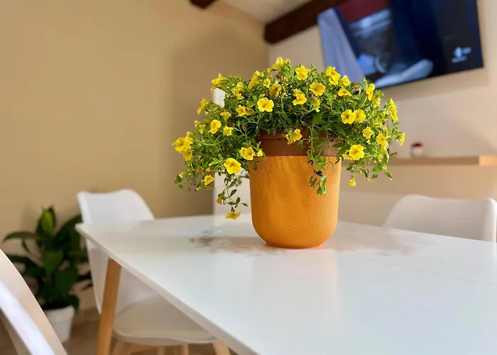 Cubbula - E Terrazze In Centro Storico דירה *